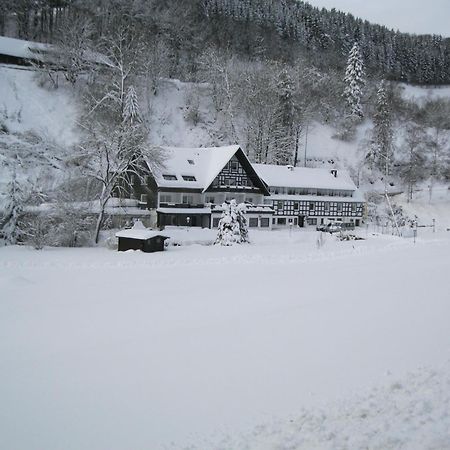 Tommes Gaestehaus Zur Muehle Schmallenberg Exterior photo