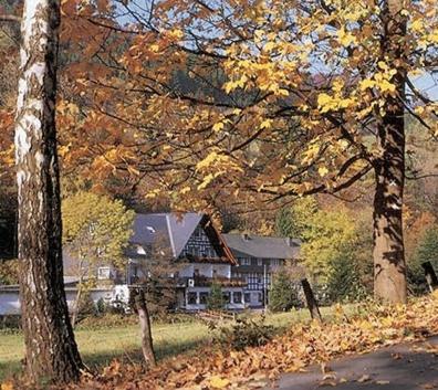 Tommes Gaestehaus Zur Muehle Schmallenberg Exterior photo